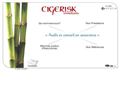 CIGERISK CONSULTANTS, cabinet d'audit et conseil en assurance